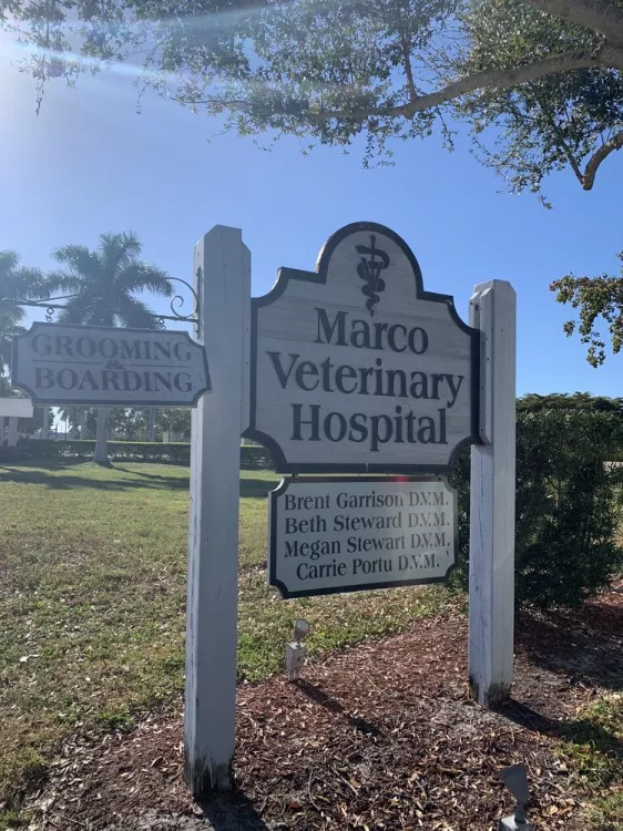 Marco Veterinary Hospital, Florida, Marco Island